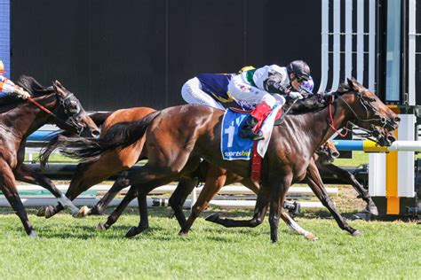 cf orr stakes results|CF Orr Stakes 2025 .